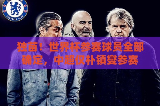 非洲杯赛事提醒-正版意甲世界杯下球站细节:独苗！世界杯参赛球员全部确定，中超仅朴镇燮参赛