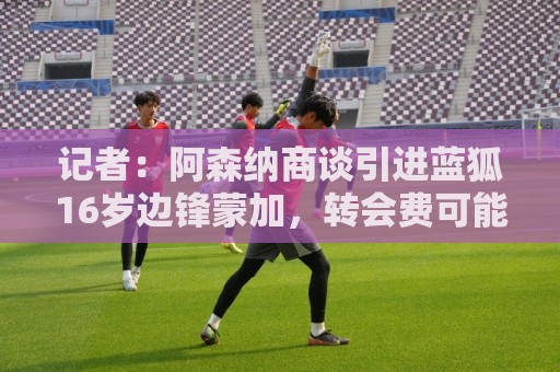 正版押注站评级-世界杯专业团队:记者:阿森纳商谈引进蓝狐16岁边锋蒙加,转会费可能超1000万镑 正版押注站评级-世界杯专业团队:记者:阿森纳商谈引进蓝狐16岁边锋蒙加,转会费可能超1000万镑