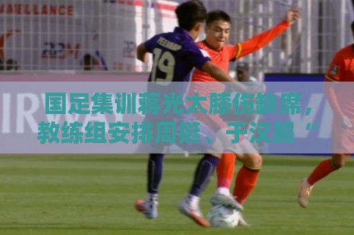 法甲主场优势有多强？数据揭秘法国足球地理-世界杯让球网移动端优化:国足集训蒋光太膝伤缺席，教练组安排周挺、于汉超“陪练”