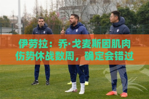 伊劳拉:乔·戈麦斯因肌肉伤势休战数周,确定会错过英超开局阶段 伊劳拉:乔·戈麦斯因肌肉伤势休战数周,确定会错过英超开局阶段