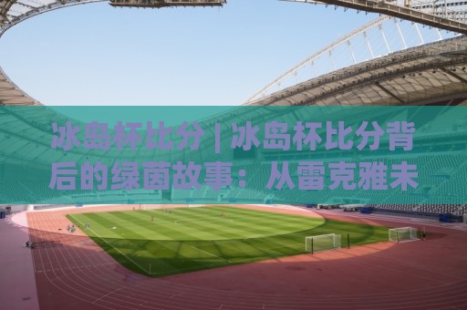 冰岛杯比分 | 冰岛杯比分背后的绿茵故事：从雷克雅未克到阿克雷里的足球温度🈵最大权威网页投球站低水无需注册观看解说让球盘高清