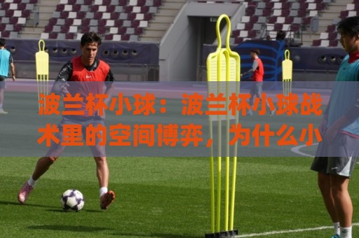 波兰杯小球：波兰杯小球战术里的空间博弈，为什么小球策略总在关键回合悄悄改写比赛走向？🈵网上热门比球网回放无广告全场录像公司比分下盘