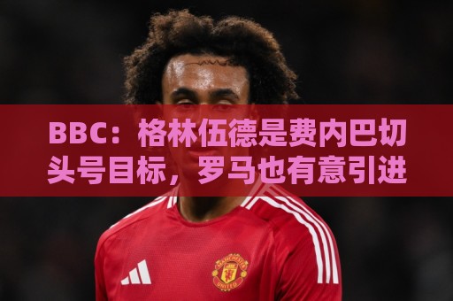 美洲杯买球实时盈利统计-买球网:BBC:格林伍德是费内巴切头号目标,罗马也有意引进这位前锋 美洲杯买球实时盈利统计-买球网:BBC:格林伍德是费内巴切头号目标,罗马也有意引进这位前锋