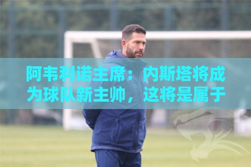 西甲买球平台设备管理功能如何提升投注体验-2026年世界杯买球:阿韦利诺主席：内斯塔将成为球队新主帅，这将是属于他的一个赛季