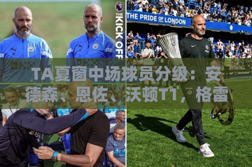 瑞士超买球网站新手教程指导-世界杯附买球网:TA夏窗中场球员分级：安德森、恩佐、沃顿T1，格雷茨卡T3