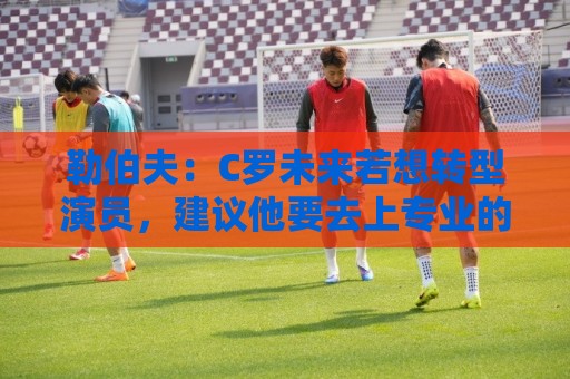 荷甲下球网操作简单-买球站:勒伯夫：C罗未来若想转型演员，建议他要去上专业的表演课