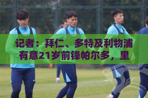 买球app-2026西甲世界杯下注网APP:记者：拜仁、多特及利物浦有意21岁前锋帕尔多，里尔要价7000万欧