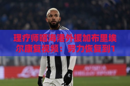 瑞士超买球手势操作支持-世界杯附买球网移动支付:理疗师晒海港外援加布里埃尔康复视频：努力恢复到100%的状态中