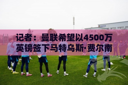 让球赔率实时更新-2026世界杯新用户专享大礼包:记者：曼联希望以4500万英镑签下马特乌斯·费尔南德斯