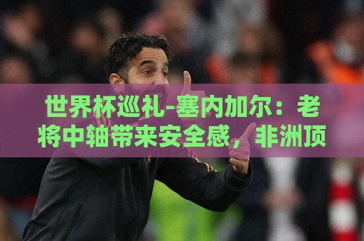 正版美洲杯下球网APP下载与安全观赛终极指南-世界杯下注:世界杯巡礼-塞内加尔:老将中轴带来安全感,非洲顶流前景可期! 正版美洲杯下球网APP下载与安全观赛终极指南-世界杯下注:世界杯巡礼-塞内加尔:老将中轴带来安全感,非洲顶流前景可期!